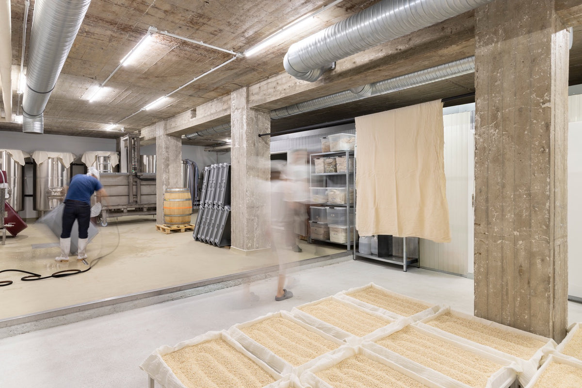 Production area at the Reigen Fermenttion Sake brewery